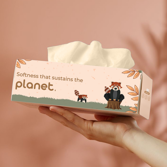 Bamboo Facial Tissues | Soft, Biodegradable & Hypoallergenic | Perfect for Everyday Use